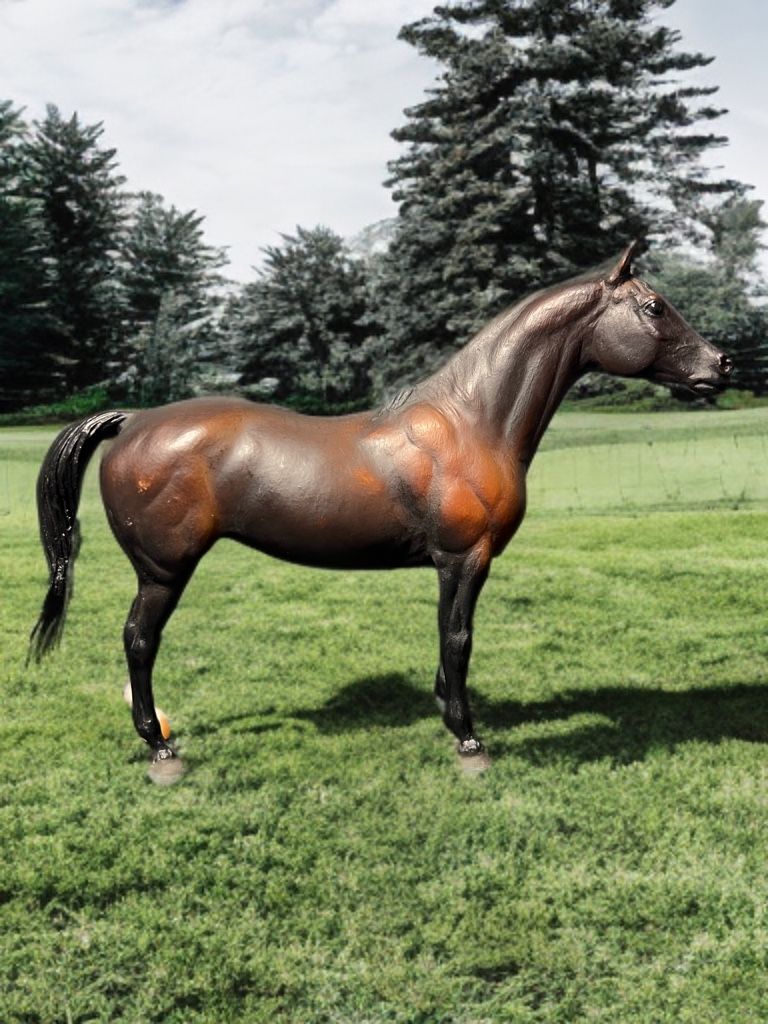 Breyer 1998 Bay Brown Erin Go Bragh Connemara Thoroughbred Cross Gelding 715/155
