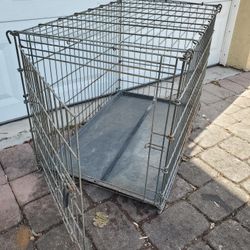 dog crate metal