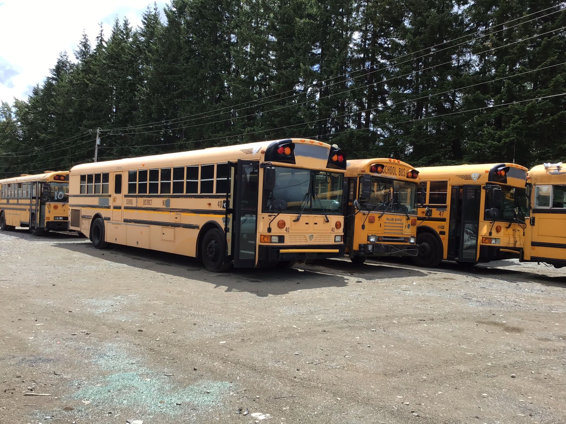 BlueBird Bus