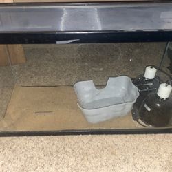 Fish Tank And Heating Lamps