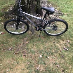 24” Mountain Bike 