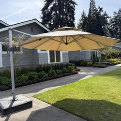 purple Leaf Patio Umbrella -12ft