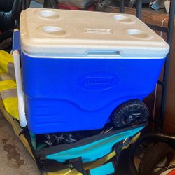 Coleman Cooler
