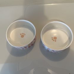 Pet Dishes 