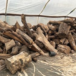 Firewood