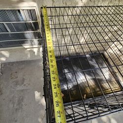 Big dog kennel