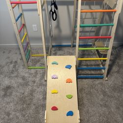 Indoor/Outdoor Jungle Gym 