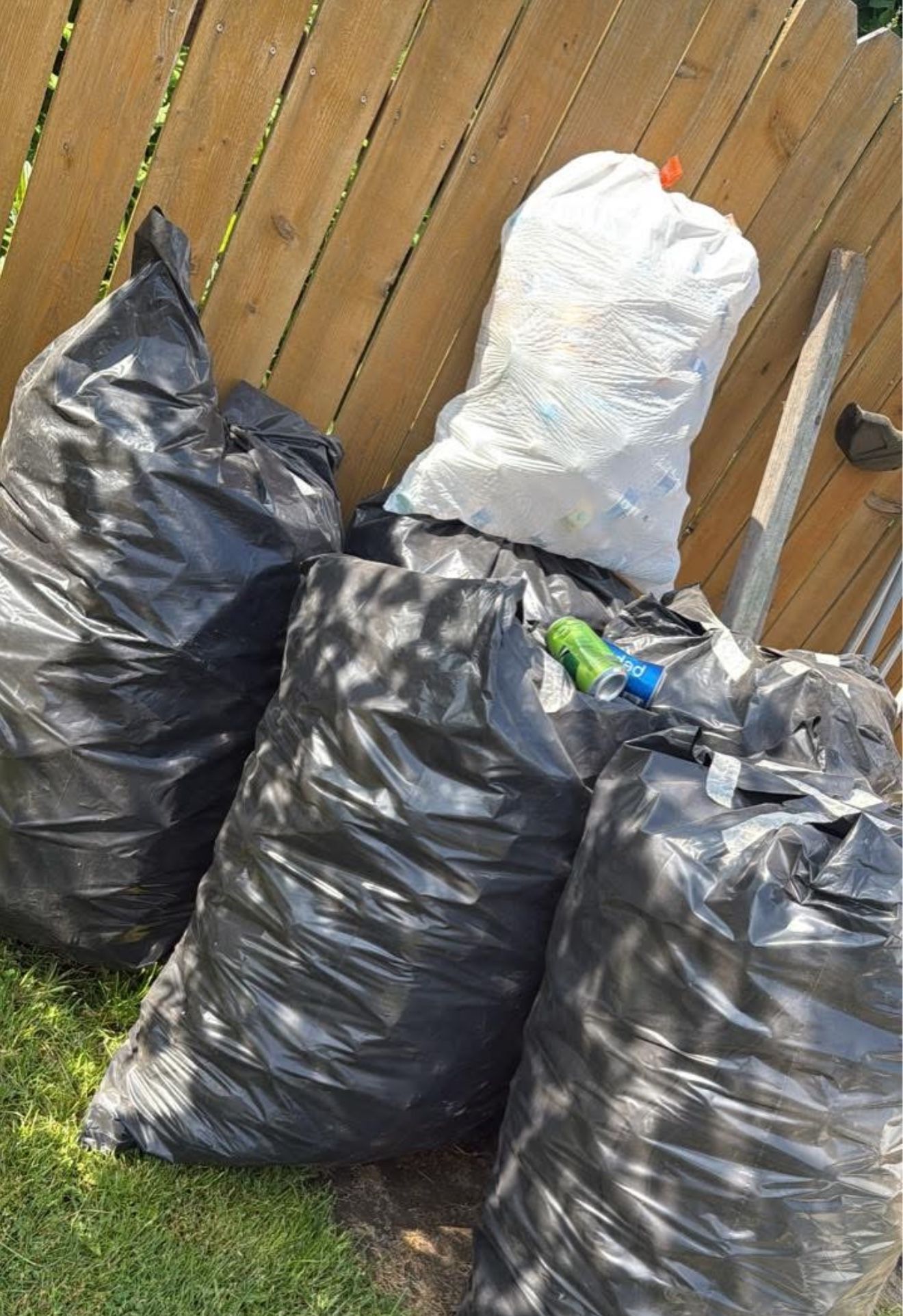 Recycling Cans And Bottle Of Water FREE