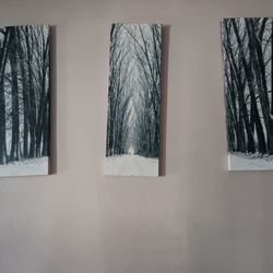 Canvas  Painting 3 Boards 