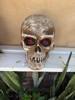 Large Halloween SKULLS from Home Depot