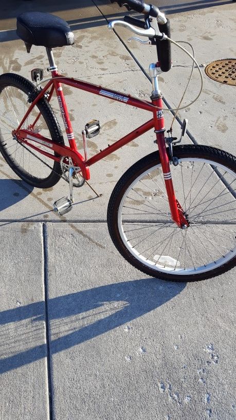 Hunter Riva Cruiser Bike