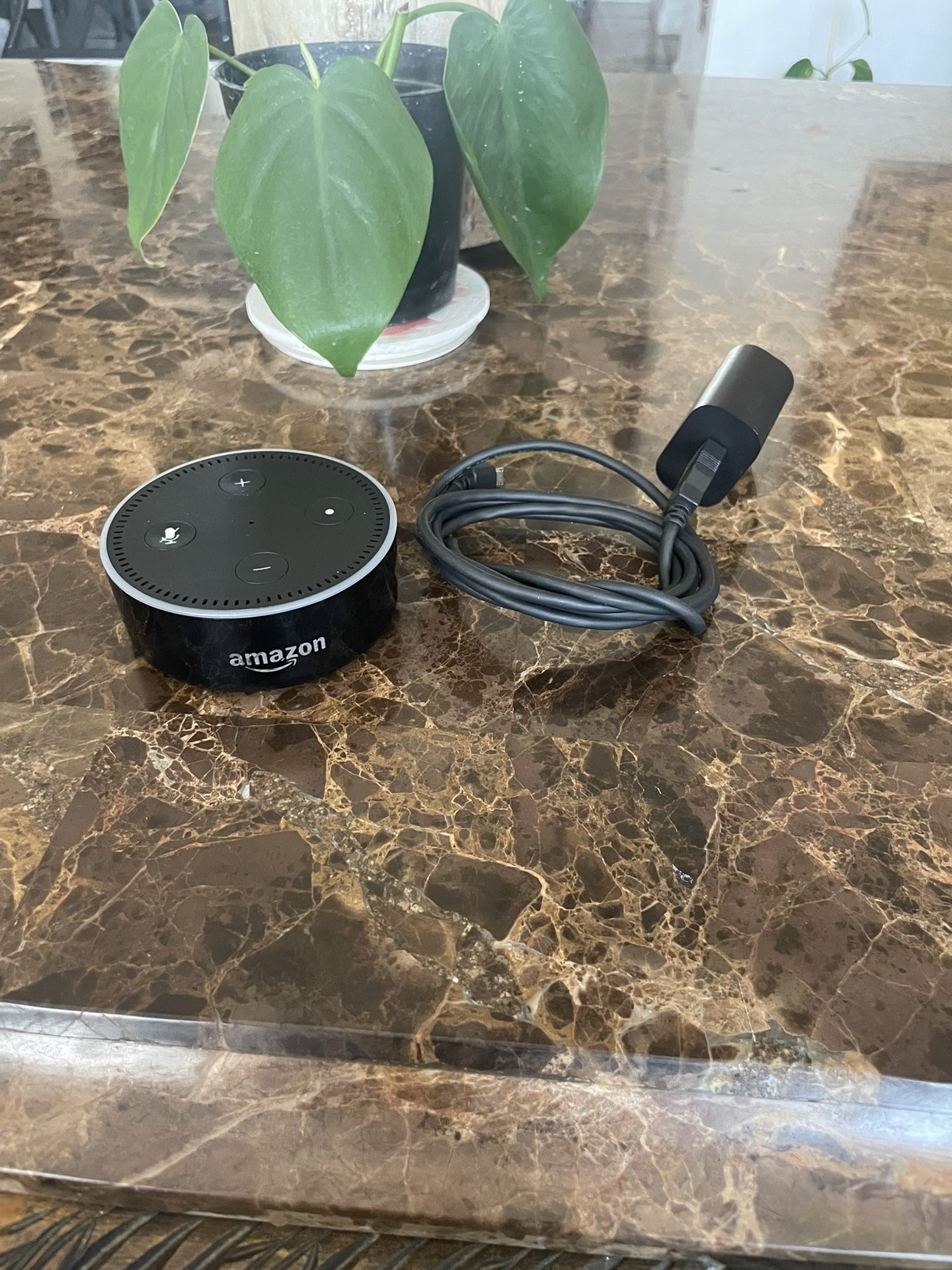 Echo Dot