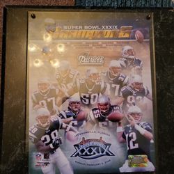 NFL Patriots 2006
