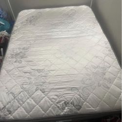 Free King Mattress 