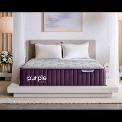 Purple Luxe Rejuvenated 