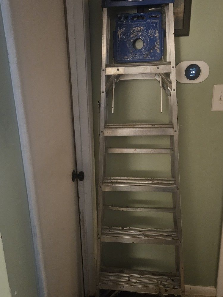6ft Ladder