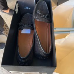 Coach Shoes 