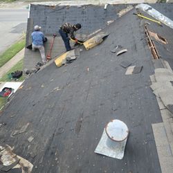 Roof Shingles 