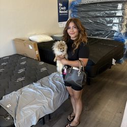 Greta Deals On High End Mattresses 