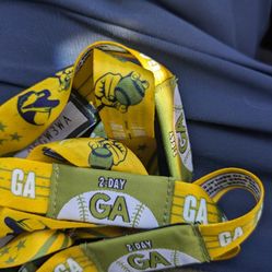 Extra Innings Festival 2 Day Wristbands 