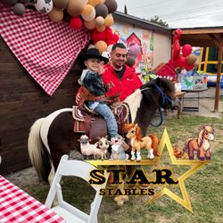 Pony Rides Petting Zoo 
