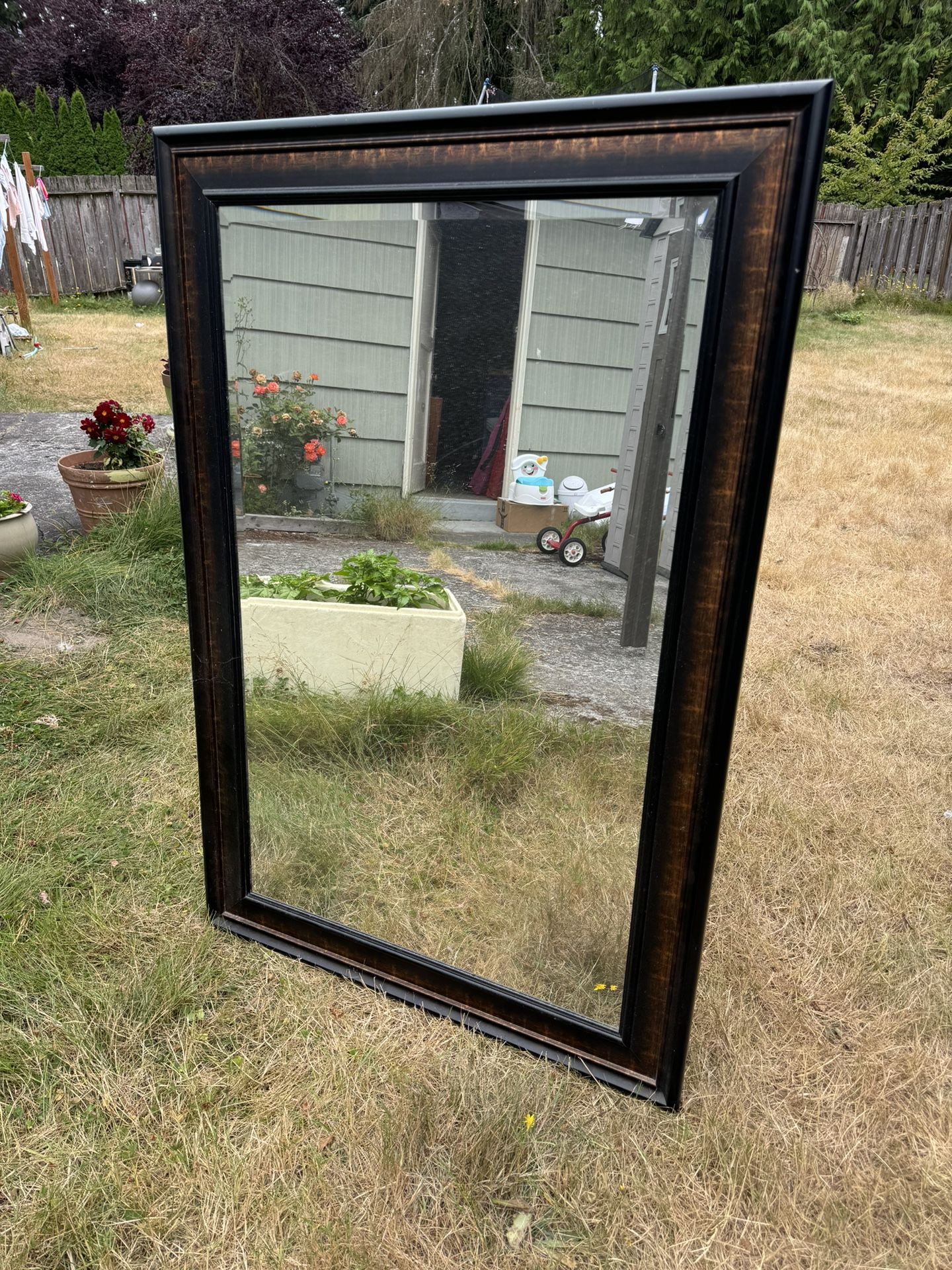 Large Wall Mirror 33x49 in