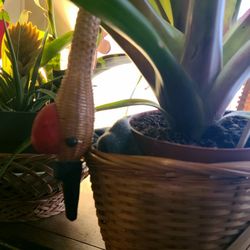 Boho Collection + Large Swan Basket 