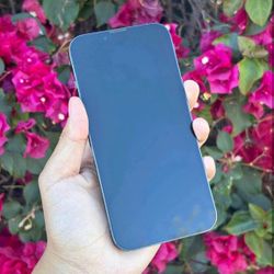 Apple iPhone 13 Pro Unlocked