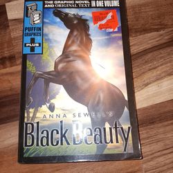 Black Beauty By Anna Sewells