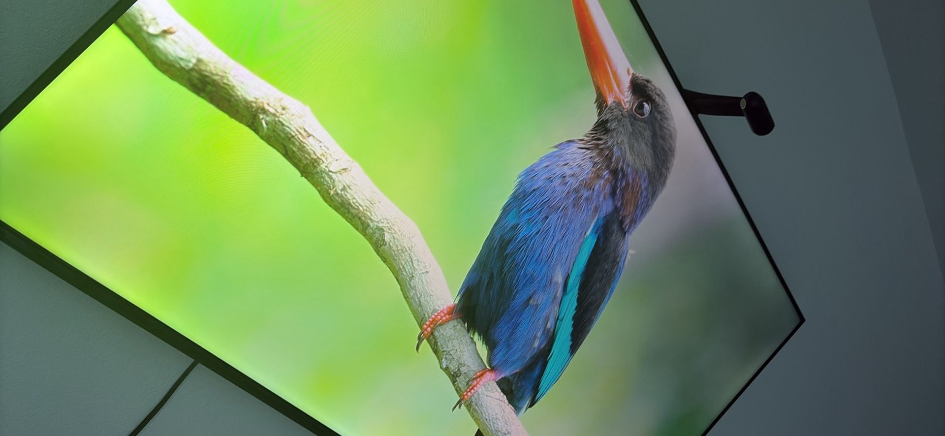 65inch TCL Smart Tv