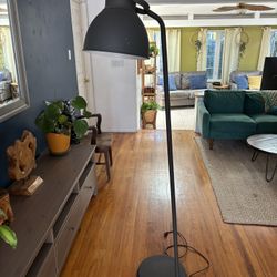 6ft Lamp