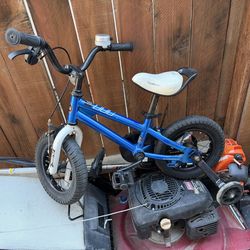 Royal blue bike