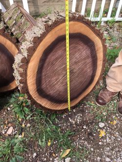WALNUT 4” CUTS-$100 EACH