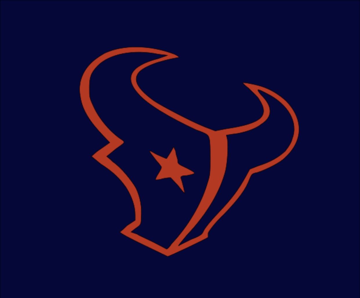 Houston Texans Playoff Hoodies and Tees