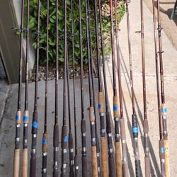 Fishing Spinning Rods