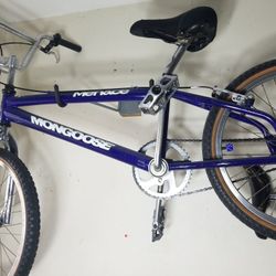 Mongoose 