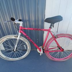 Caraci bike pink 2025