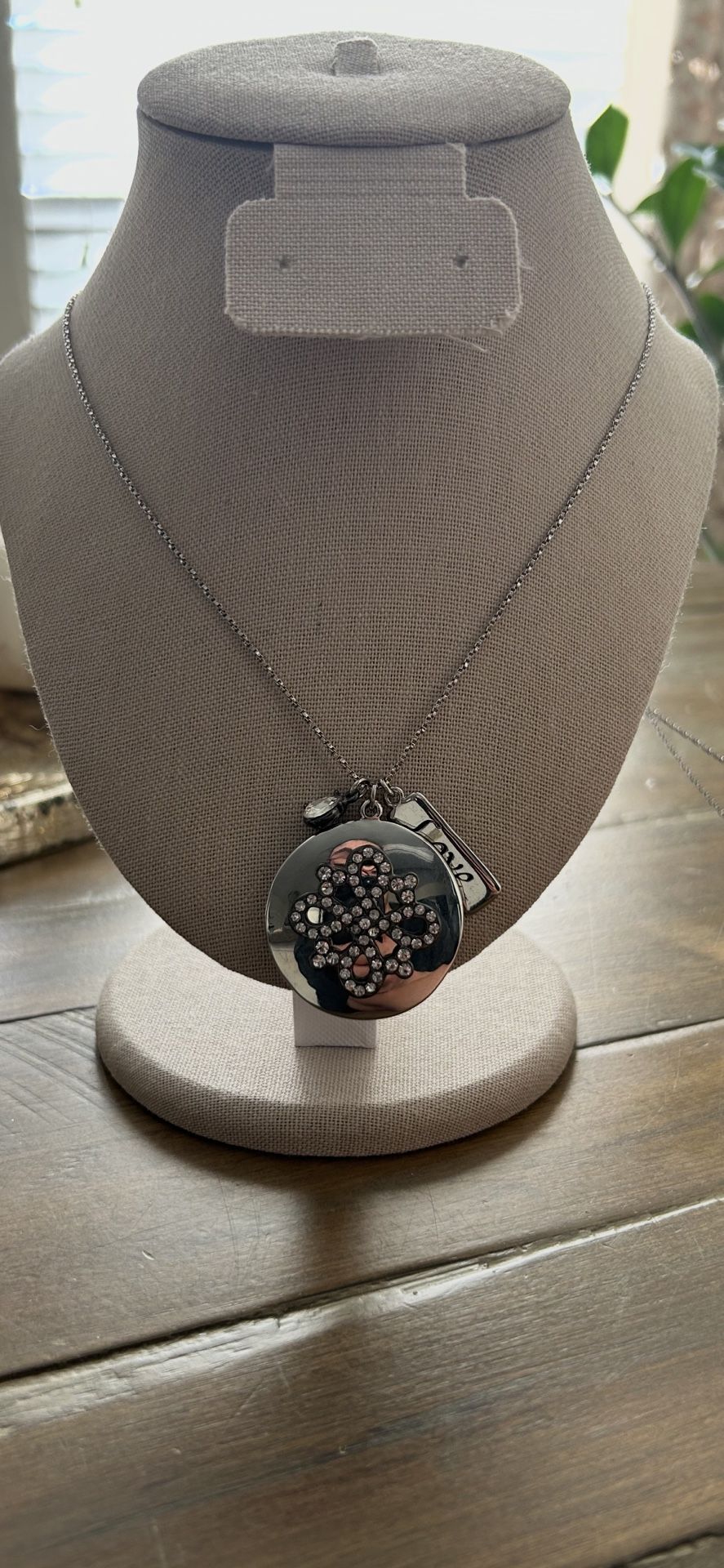Long Silver Medallion Charm Necklace 