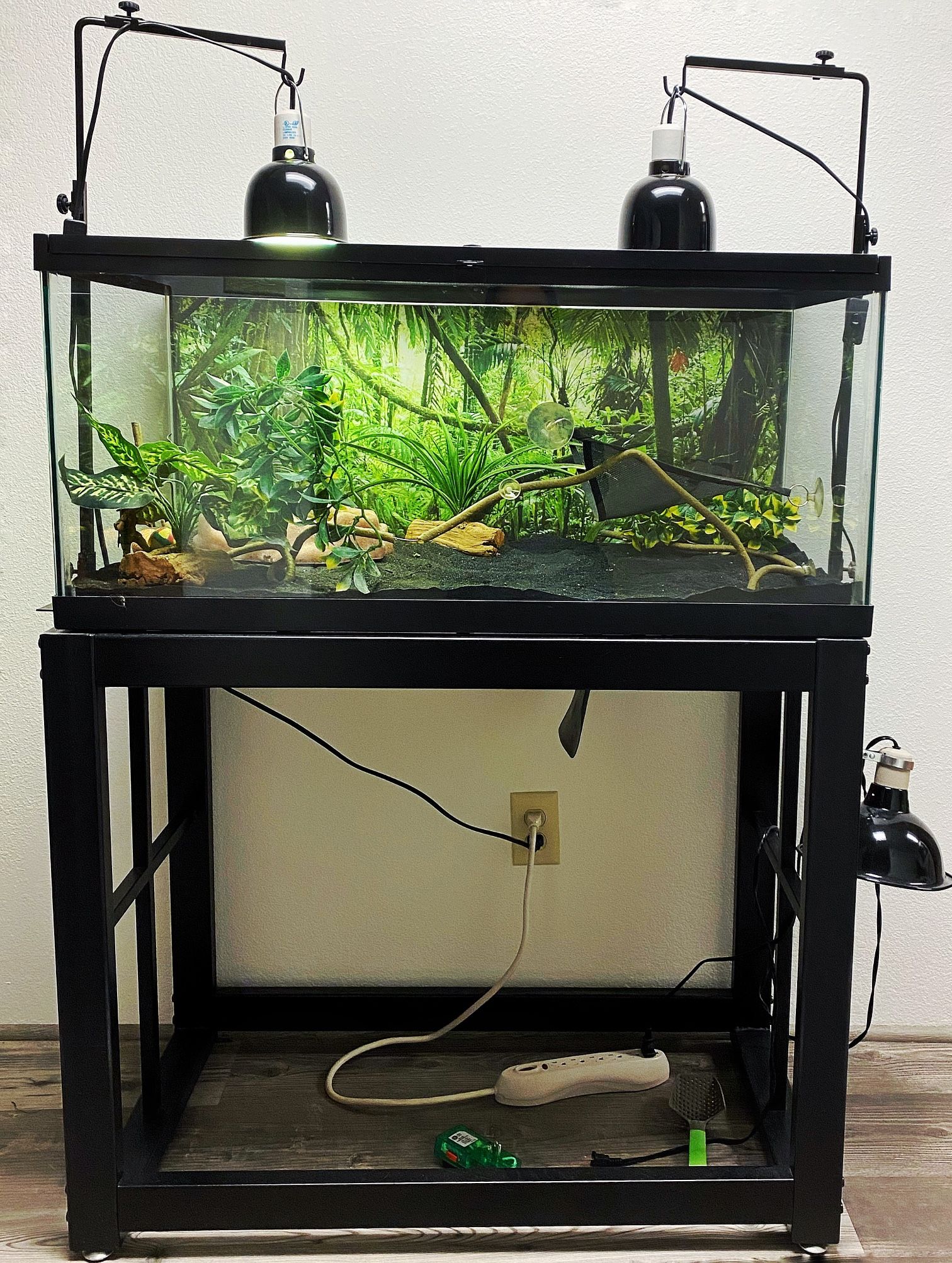 Large Terrarium With Accessories & Attachments
