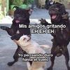 Adolfo