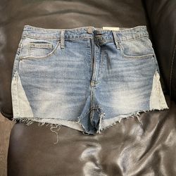 Women Shorts
