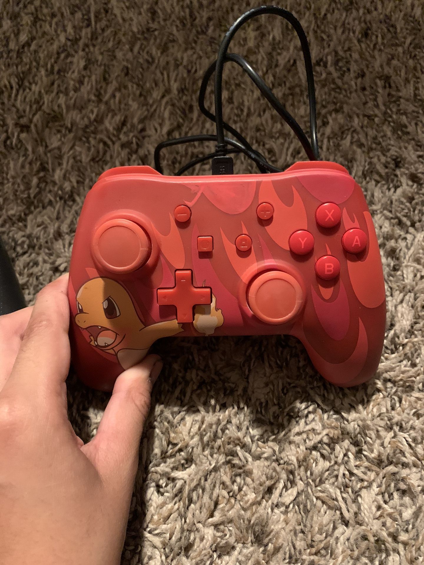 Nintendo Switch Pro Controllers
