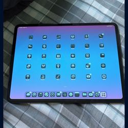 iPad Pro