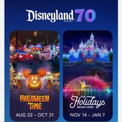 Disneyland 1 day 1 park (not park hopper not fast pass)