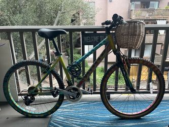 Artsy Nishiki mountain bike