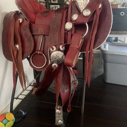 Montura Platiada