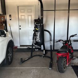 Everlast Punching bag