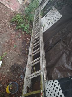 40 inch ladder