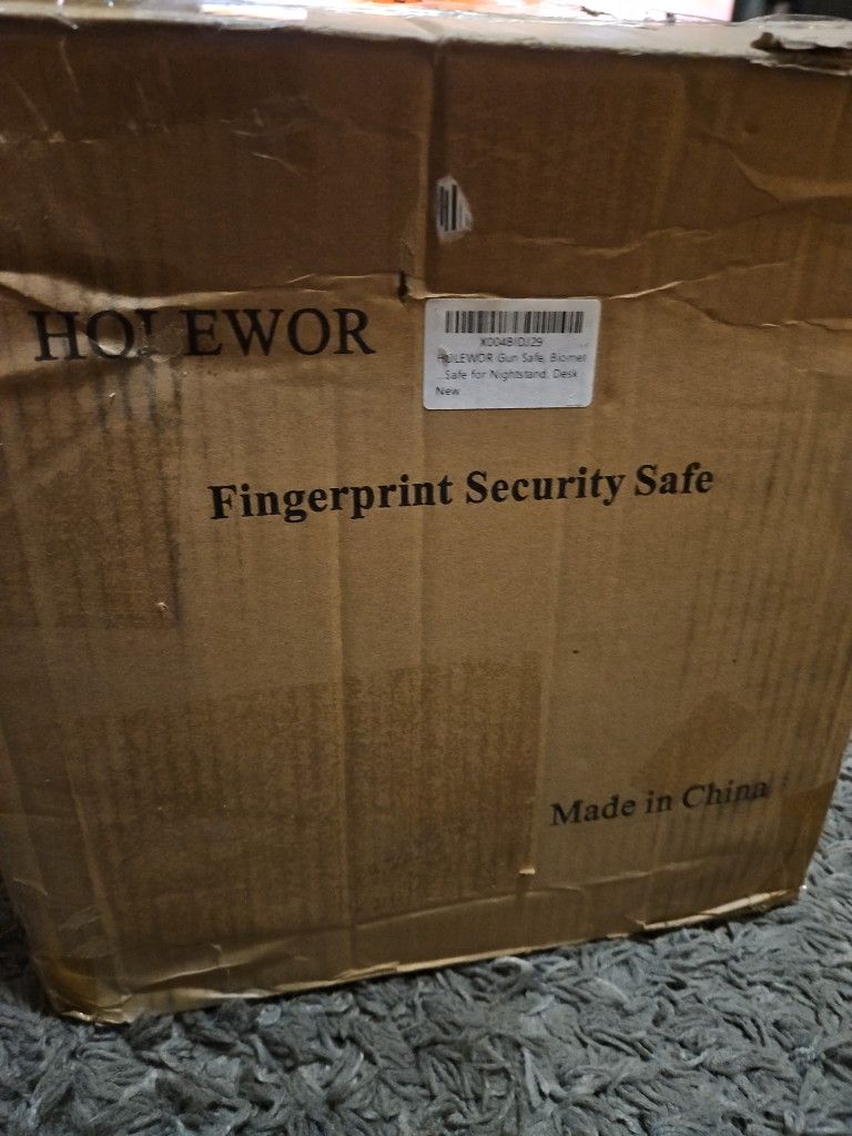 HOLEWOR FINGERPRINT  SECURITY SAFE
