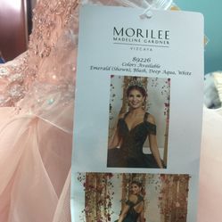 Quinceañera Dress/Vestido 